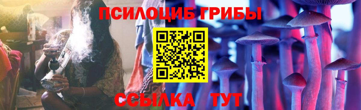 Галлюциногенные грибы Magic Shrooms  купить наркотик  Острогожск  Вход с VPN 