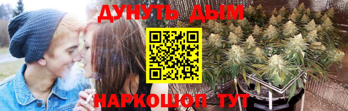 Шишки марихуана SATIVA & INDICA Острогожск